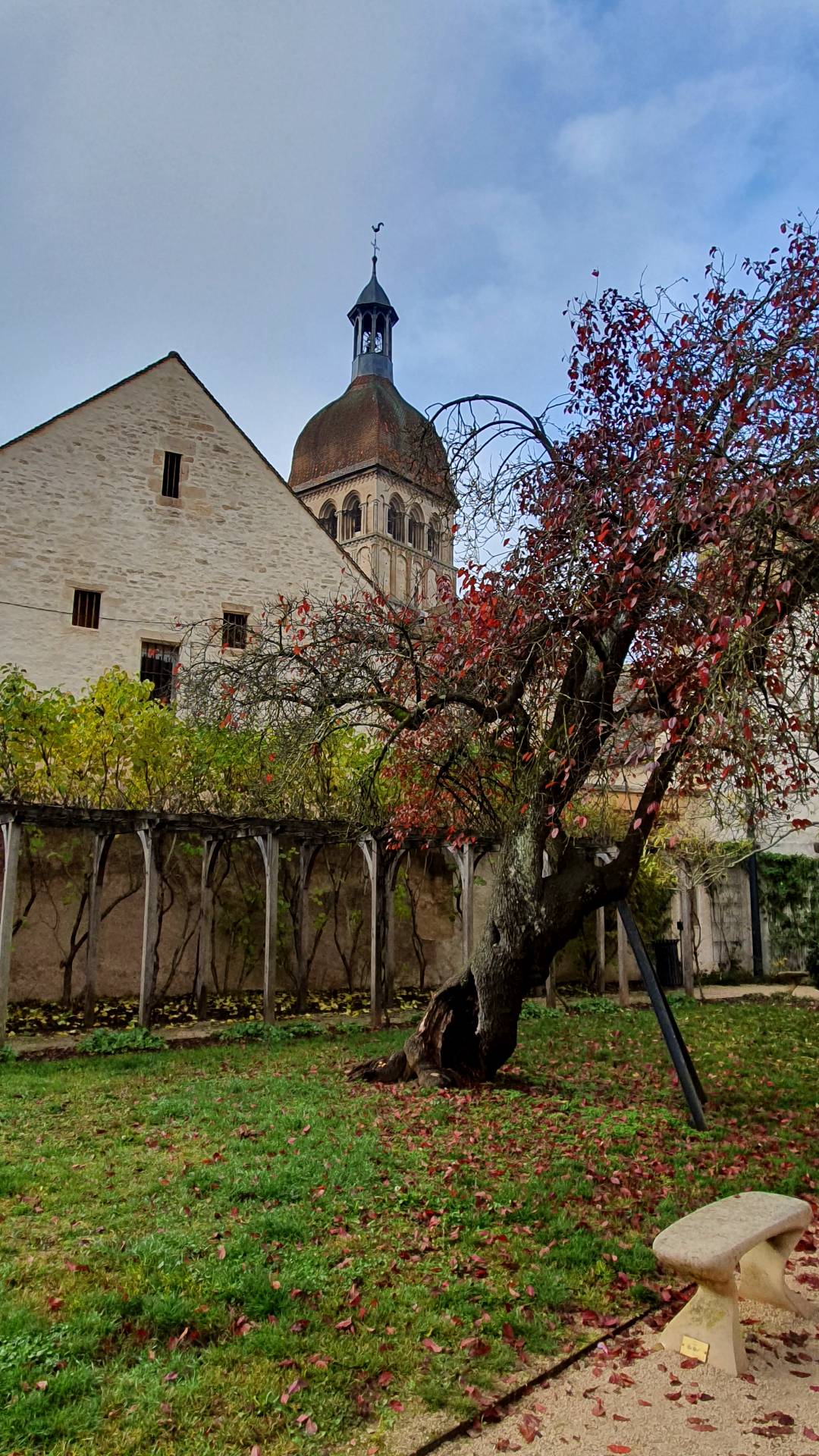 beaune_jardin