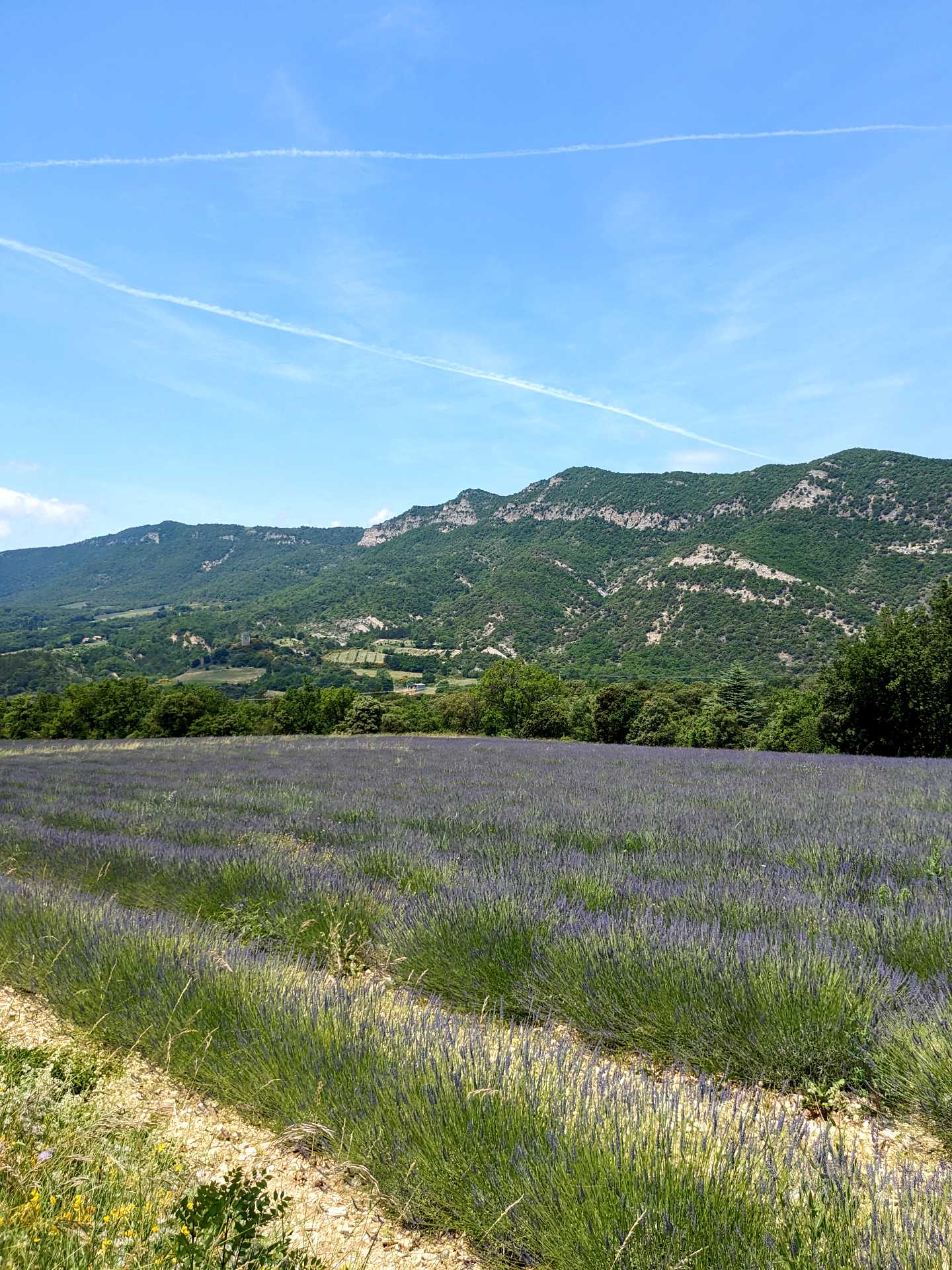 randonnée lez drôme