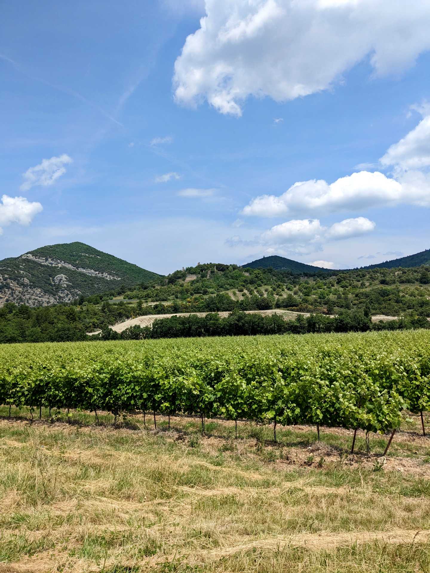 randonnée lez drôme