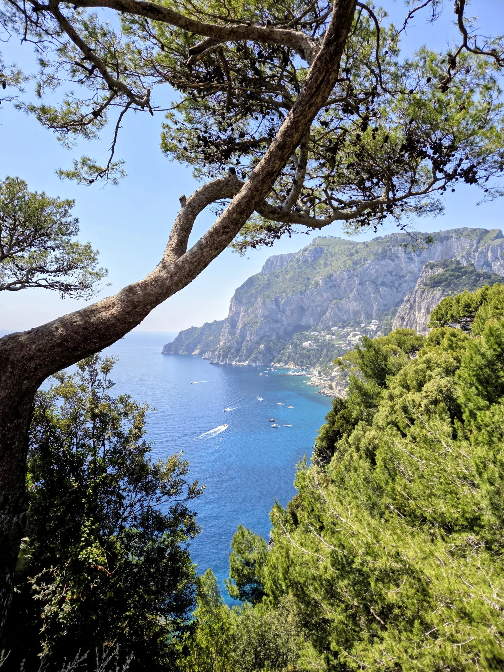 capri