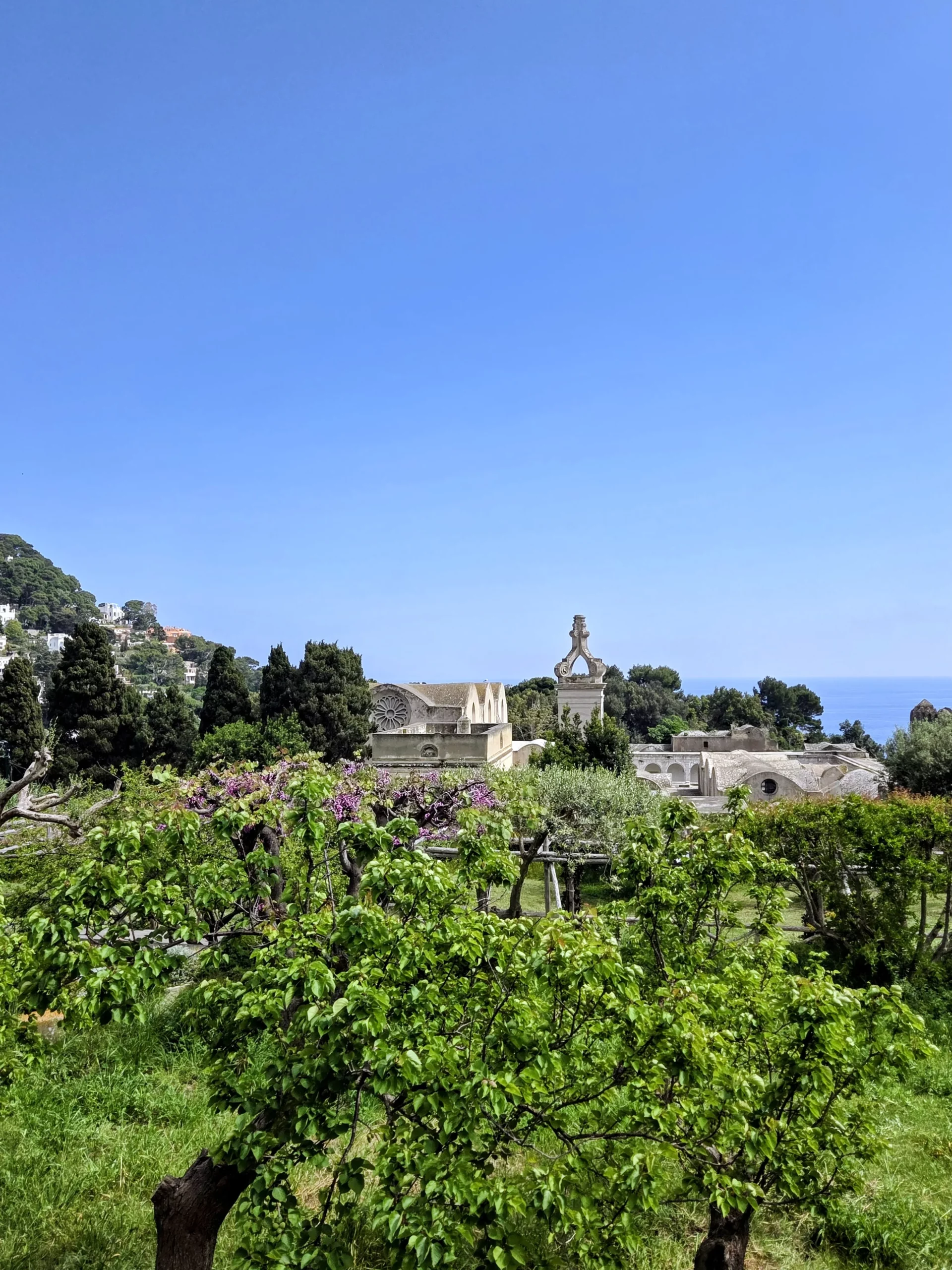 capri