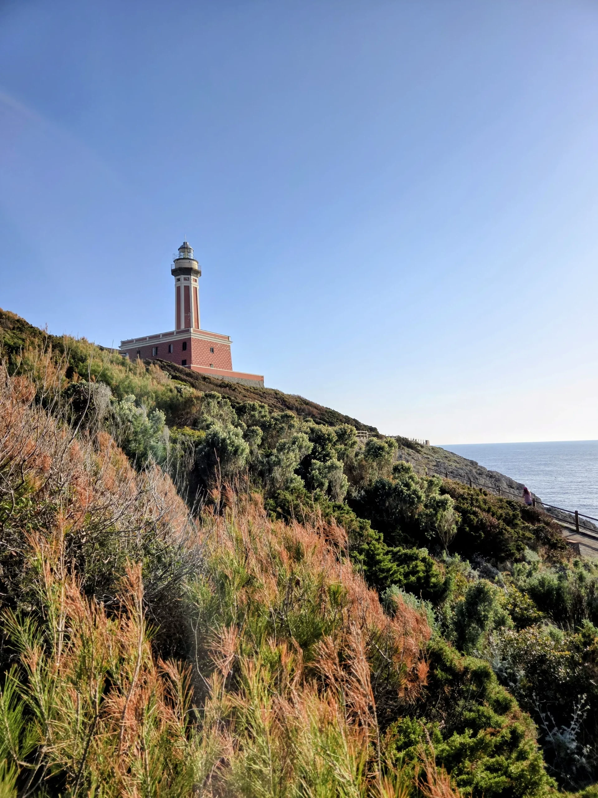punta carena