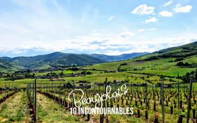 RHONE | Que faire dans le Beaujolais ? 10 Incontournables