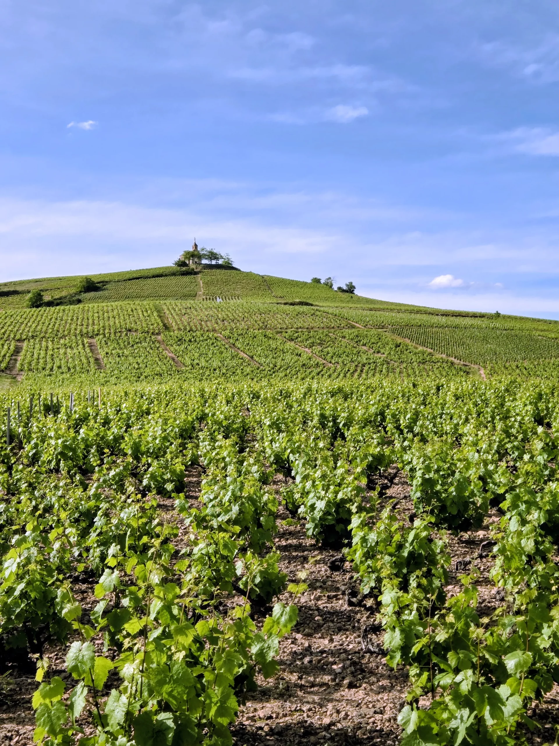 chapelle madone fleurie