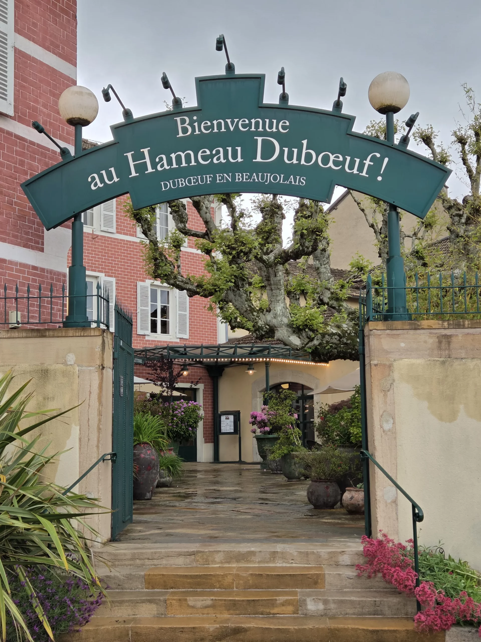 hammeau duboeuf